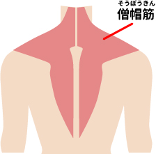 肩が痛い症状でお悩みの方へ